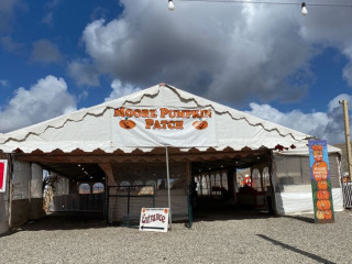 Moore Pumpkin Patch Christmas Trees