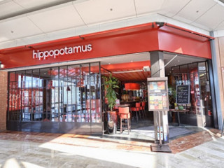 Hippopotamus