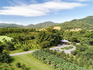 Daintree Ice Cream Company