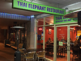 Thai Elephant