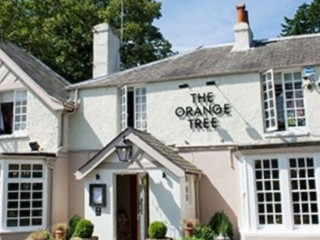 The Orange Tree