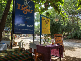 Black Rose Bagan Myanmar