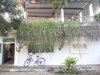 The Bodhi Tree Hostel