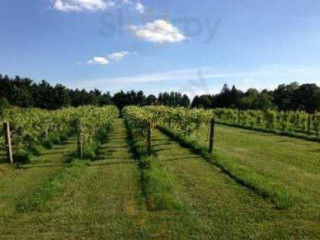 Sarah's Vineyard