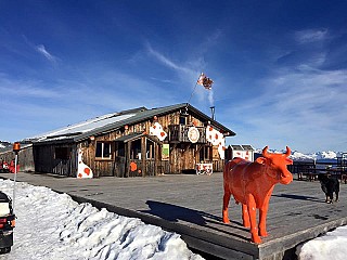 La Vache Orange