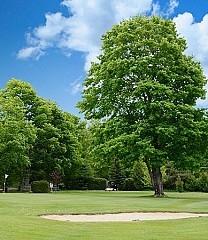 Manitoulin Island Country Club