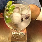 Gins Tonics