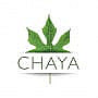 Chaya