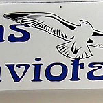 Las Gaviotas