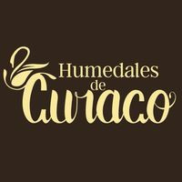 Humedales De Curaco