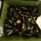 P.e.i Mussels