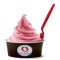 Pomegranate Frozen Yogurt