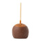 Chocolate (Milk) Sea Salt Caramel Apple