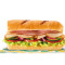 Turkey Chicken Slice Sub 15 Cm, 6 Inch