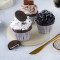 Oreo Cupcake Kit Kat Cupcake Chocolate Cupcake