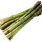 Asparagus