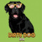 7. Dirty Dog Ipa