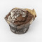Chocolate Muffin