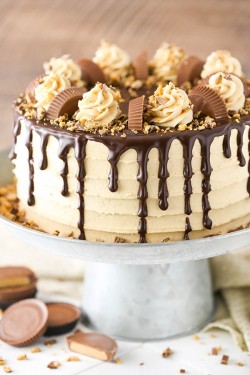 Chocolate Layer Cake