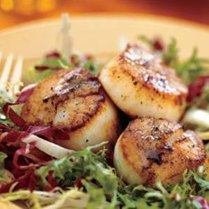 Sea Scallops