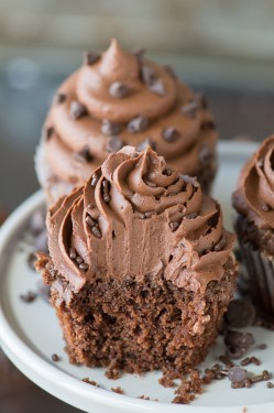 Chocolate Muffin