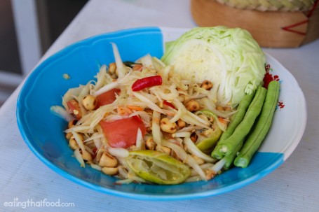 Green Papaya Salad