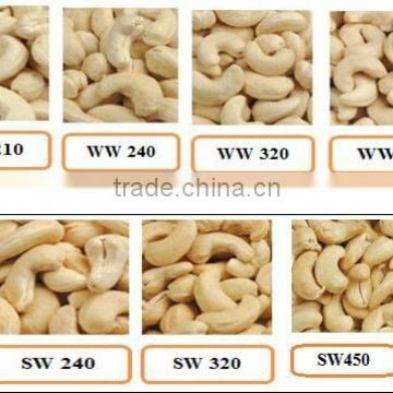 Cashew Nut