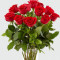 Dozen Red Rose Arrangement