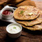 Healthy Bites Spl Veg Paratha