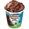 Ben Jerry,S Chocolate Fudge