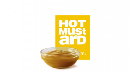 Hot Mustard Dipping Sauce