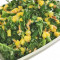 Kale Mango Coconut Salad