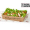 Original Recipe Salad Box