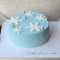 Frozen Mini Cake