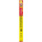 Slim Jim Deli Style Stick 1.8Oz