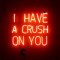 I Have A Crush On You