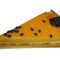 Passion Fruit Mango Tart