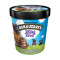 Ben Jerry's Phish Food Pint