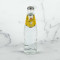 Schweppes Indian Tonic Water