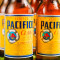 Bucket Of Pacifico (5 Beers)