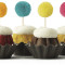 Confetti Pom Poms Bundtinis Signature Assortment