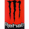 Monster Rehab Watermelon 16Oz