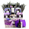 Aromatherapy Lavender Lilac Spa Gift Set