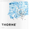 Thorne Zinc Picolinate