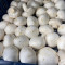 Cup Mushroom (Per Kg)