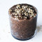 Nutella Chia Pudding