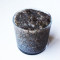 Original Chia Pudding