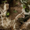 Lemongrass Beef Noodle Soup (Pho Bo N)