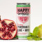 Punchy Pomegranate Lime Mint