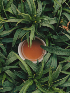 Tea